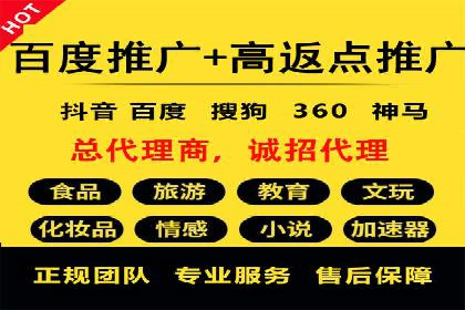 某行业巨头背后的SEM代运营服务公司